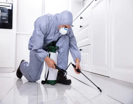 Société de desinsectisation à Casablanca Maroc